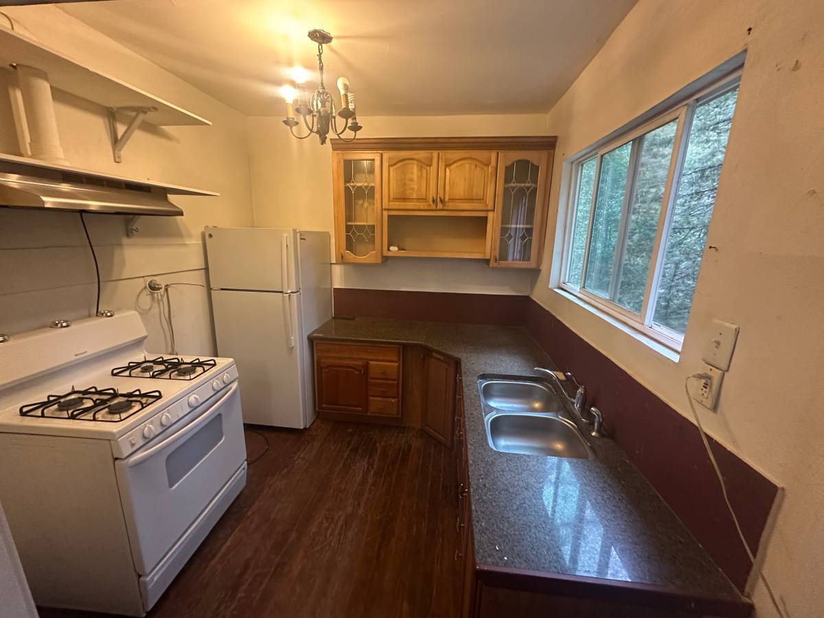 Kitchen — back view (alt)