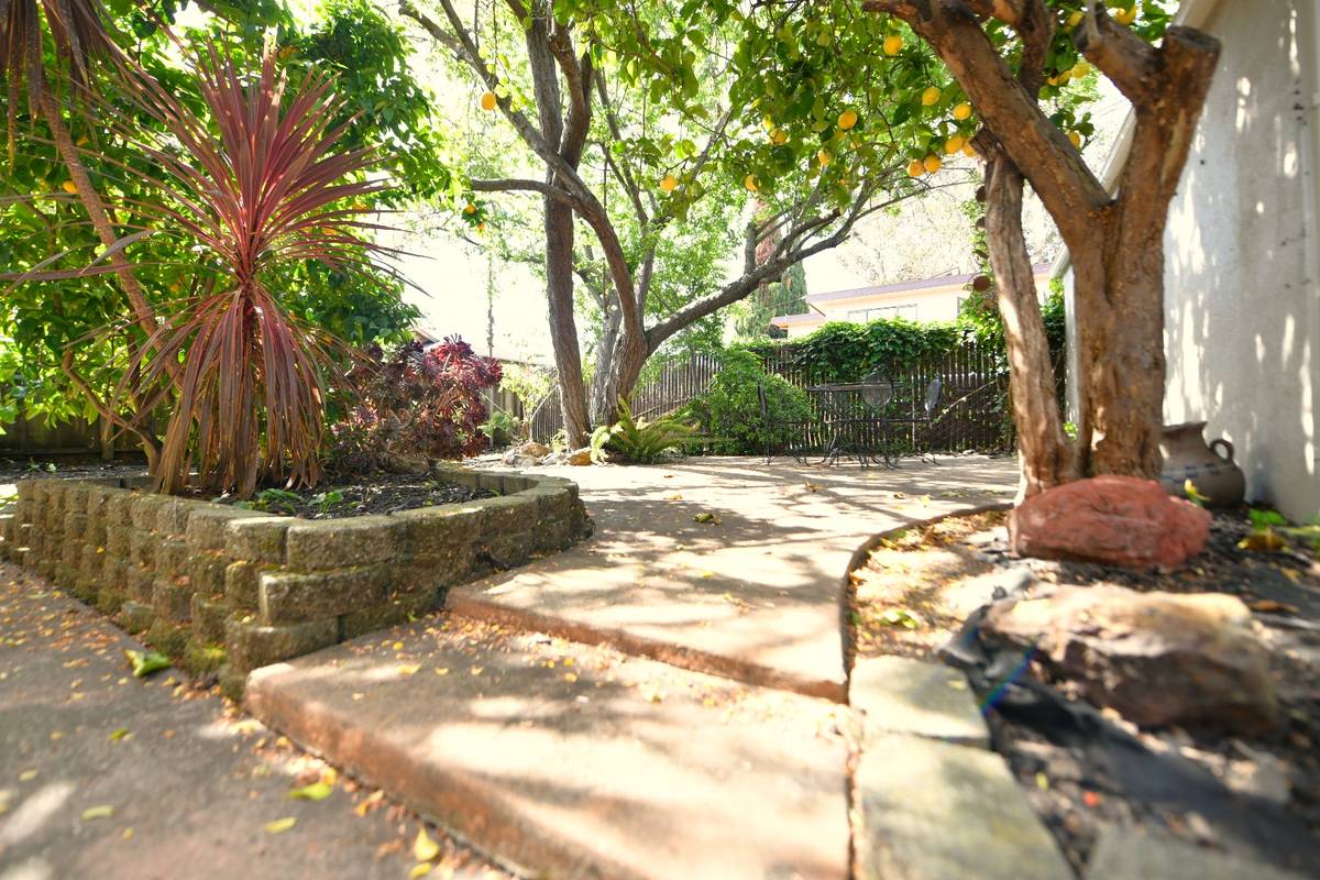 Side yard / garden